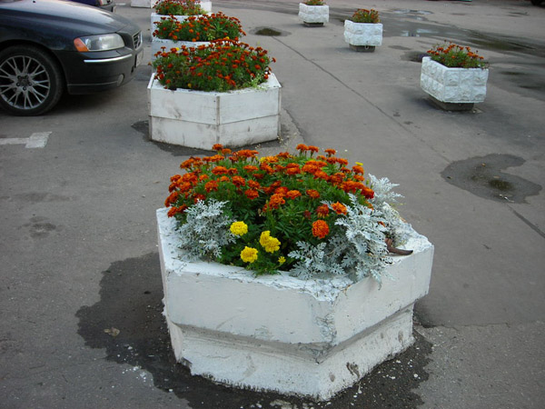 Озеленение и создание цветников