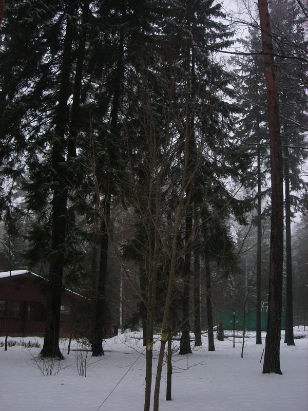 Пионерская