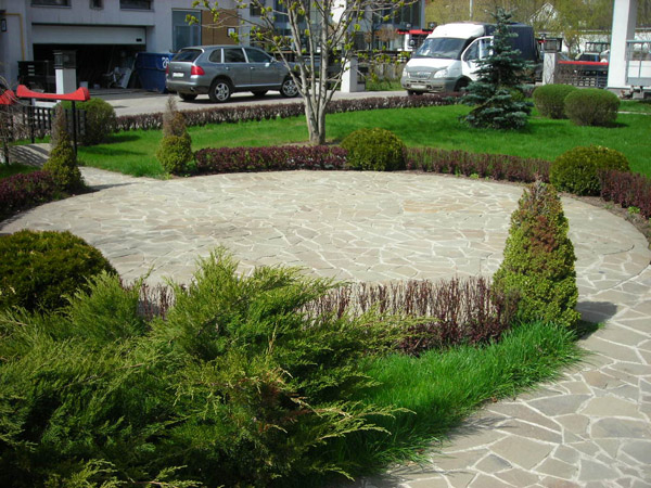 Посадка кустарников