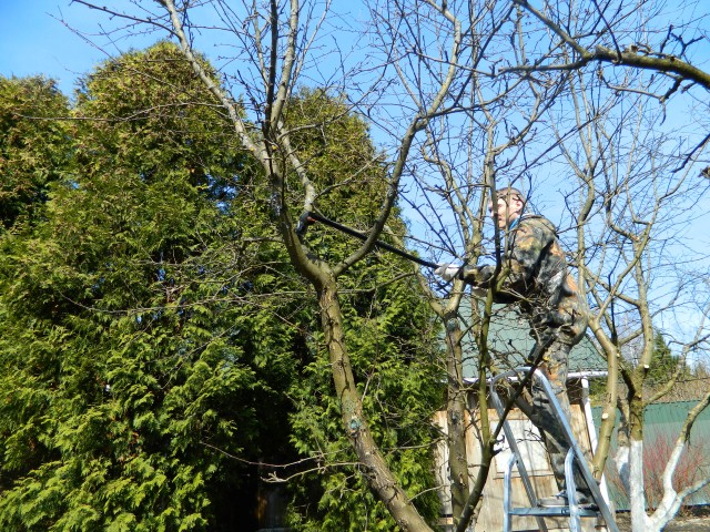 Лечение и обработка